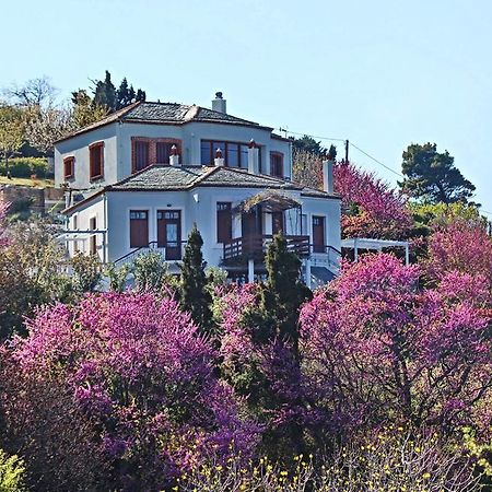 Ο Στόλιος Διαμέρισμα Σκόπελος Εξωτερικό φωτογραφία